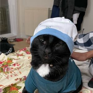 Meet your Posher, Hasinur